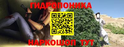 прущие грибы Новоалександровск
